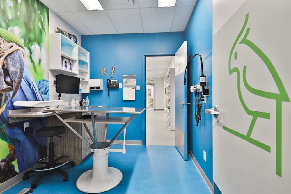 design-interieur-hopital-veterinaire-ile-perrot-espace-concept-design